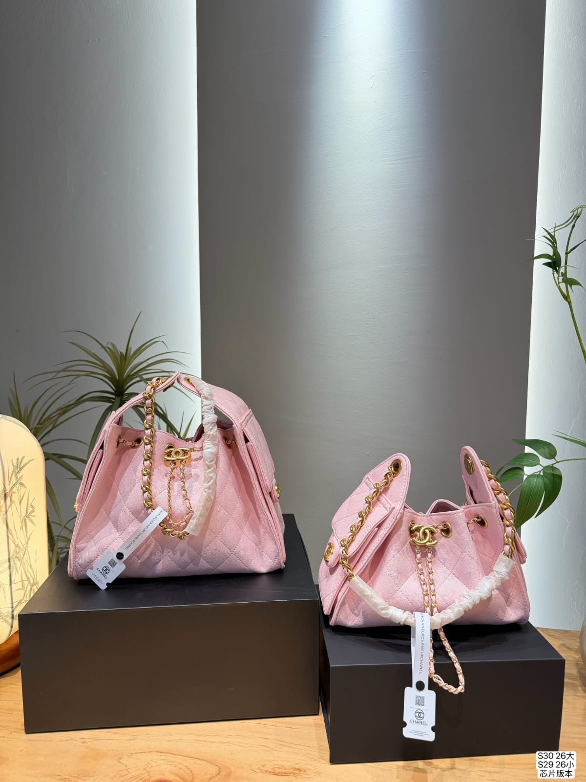 Bag