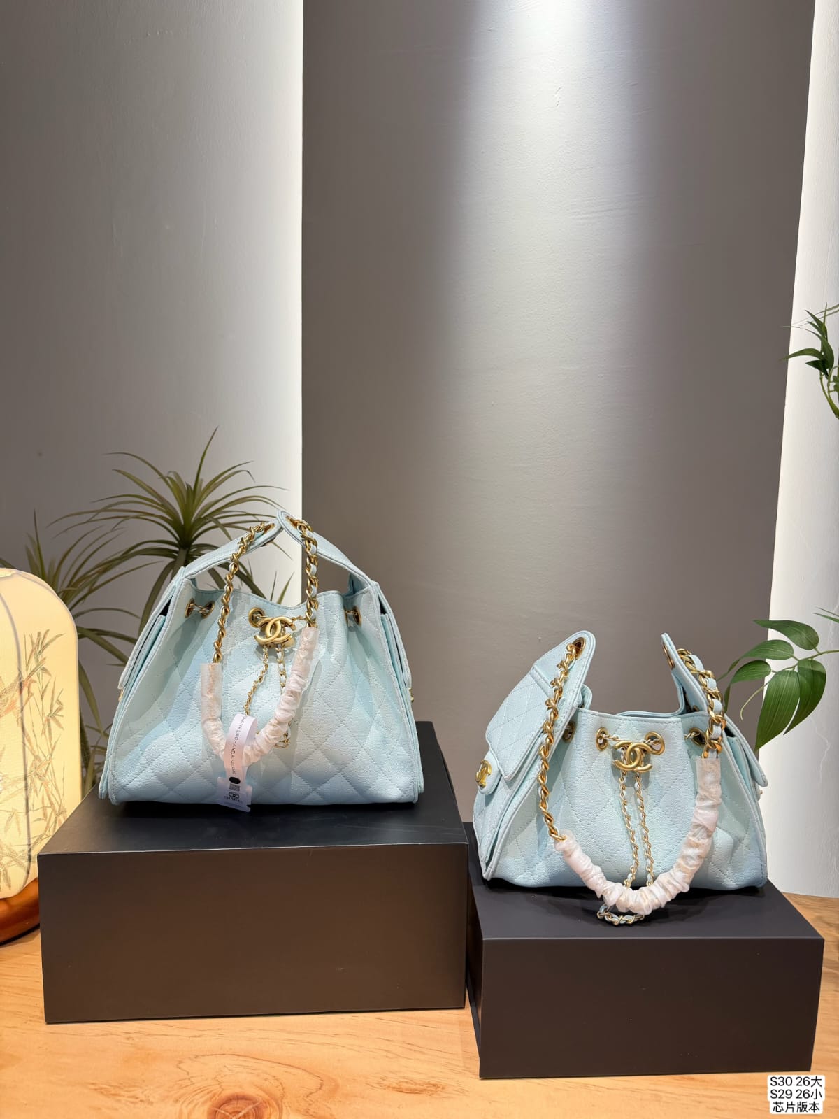 Bag