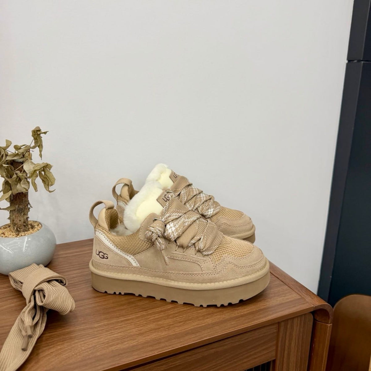 Trainers